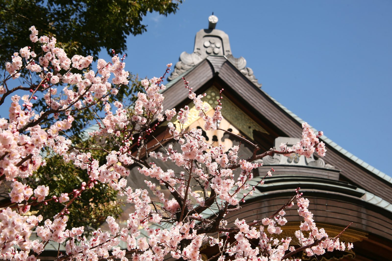 アクセス 湯島 天神